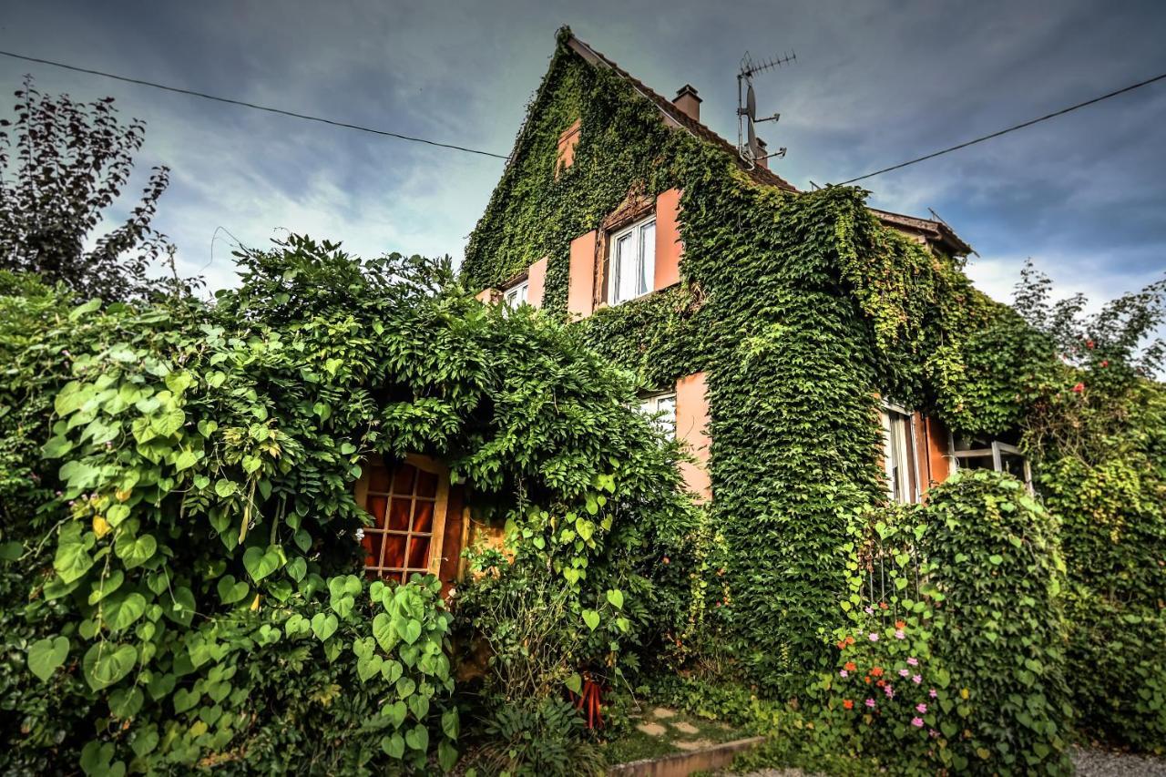 ❊ Au Murmure De L'Eau Au Coeur De L'Alsace ❊ Ebersheim Экстерьер фото